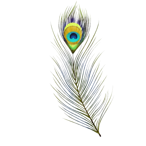 Feather